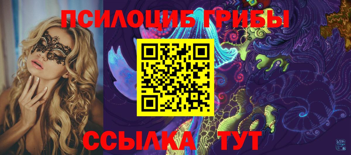 Псилоцибиновые грибы MAGIC MUSHROOMS  Вход с VPN  Наро-Фоминск 