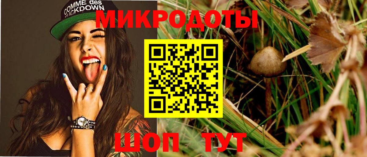 Псилоцибиновые грибы Psilocybe Наро-Фоминск